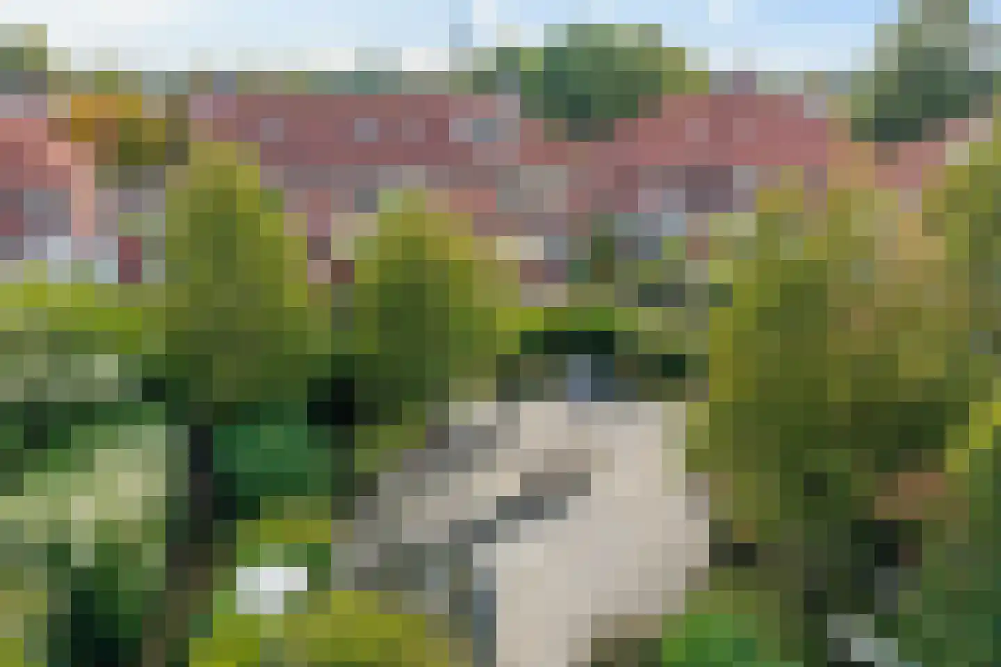 Willem Lodewijkhof 44 Steenwijk thumbnail 30