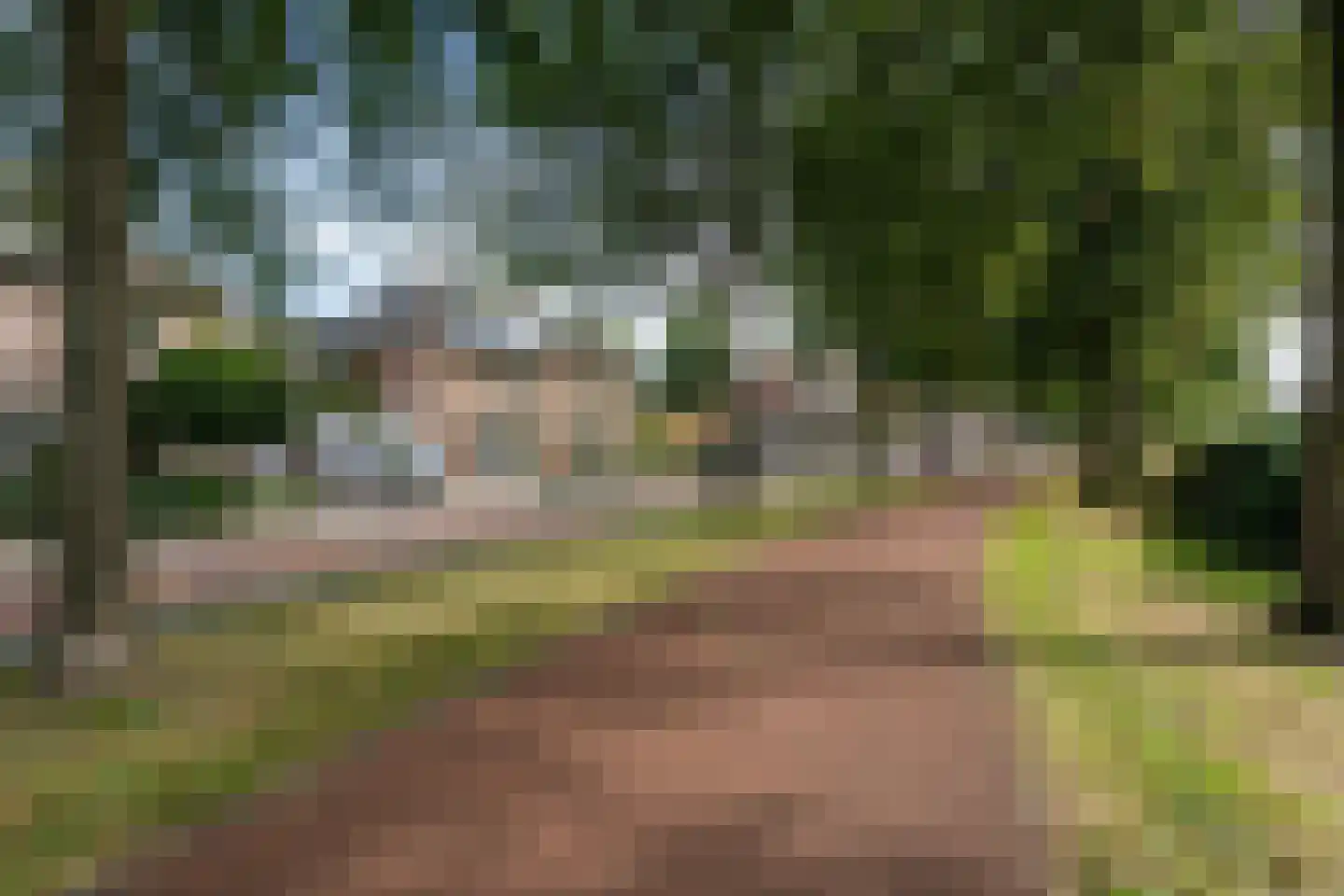 Willem Lodewijkhof 44 Steenwijk thumbnail 32