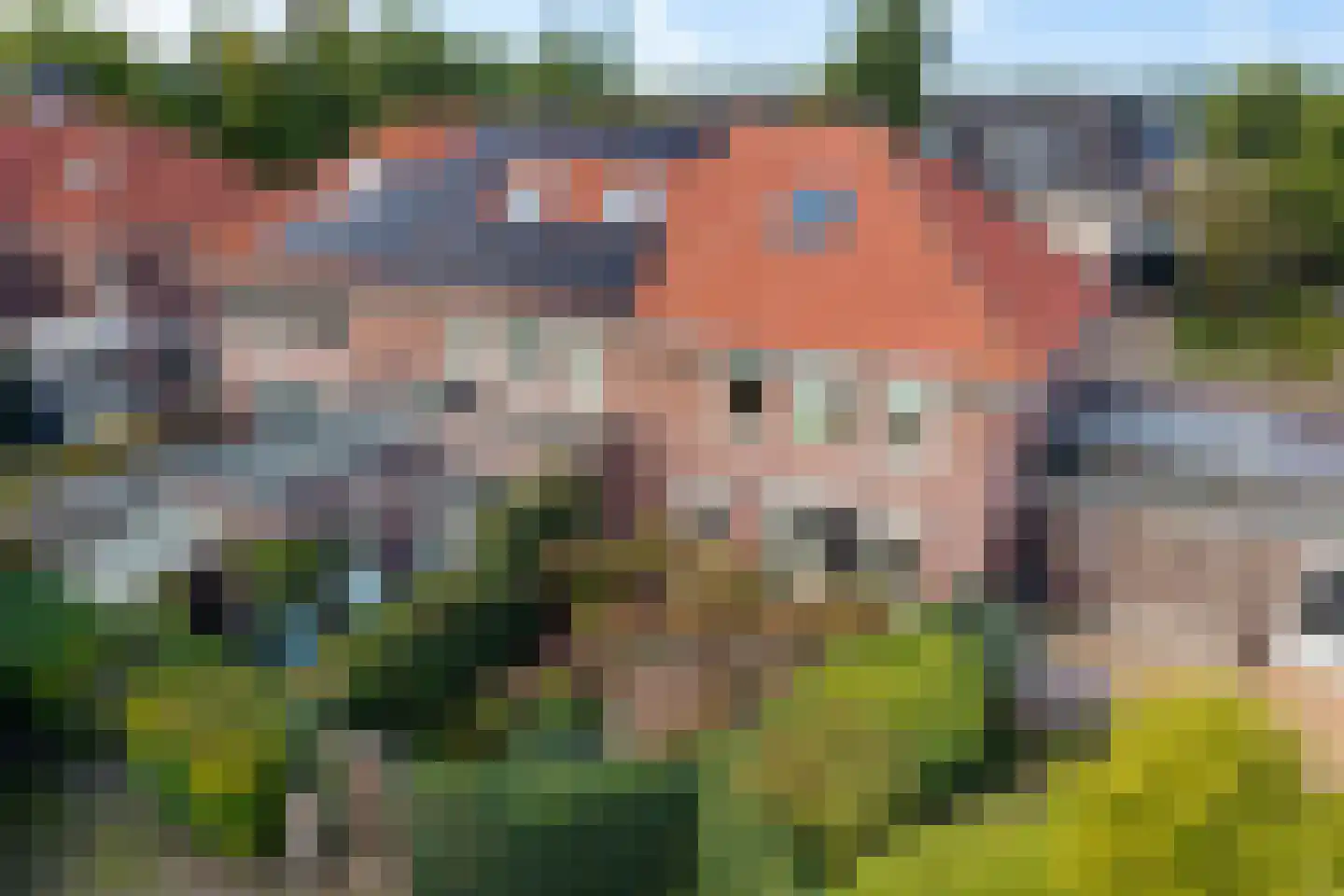 Willem Lodewijkhof 44 Steenwijk thumbnail 34