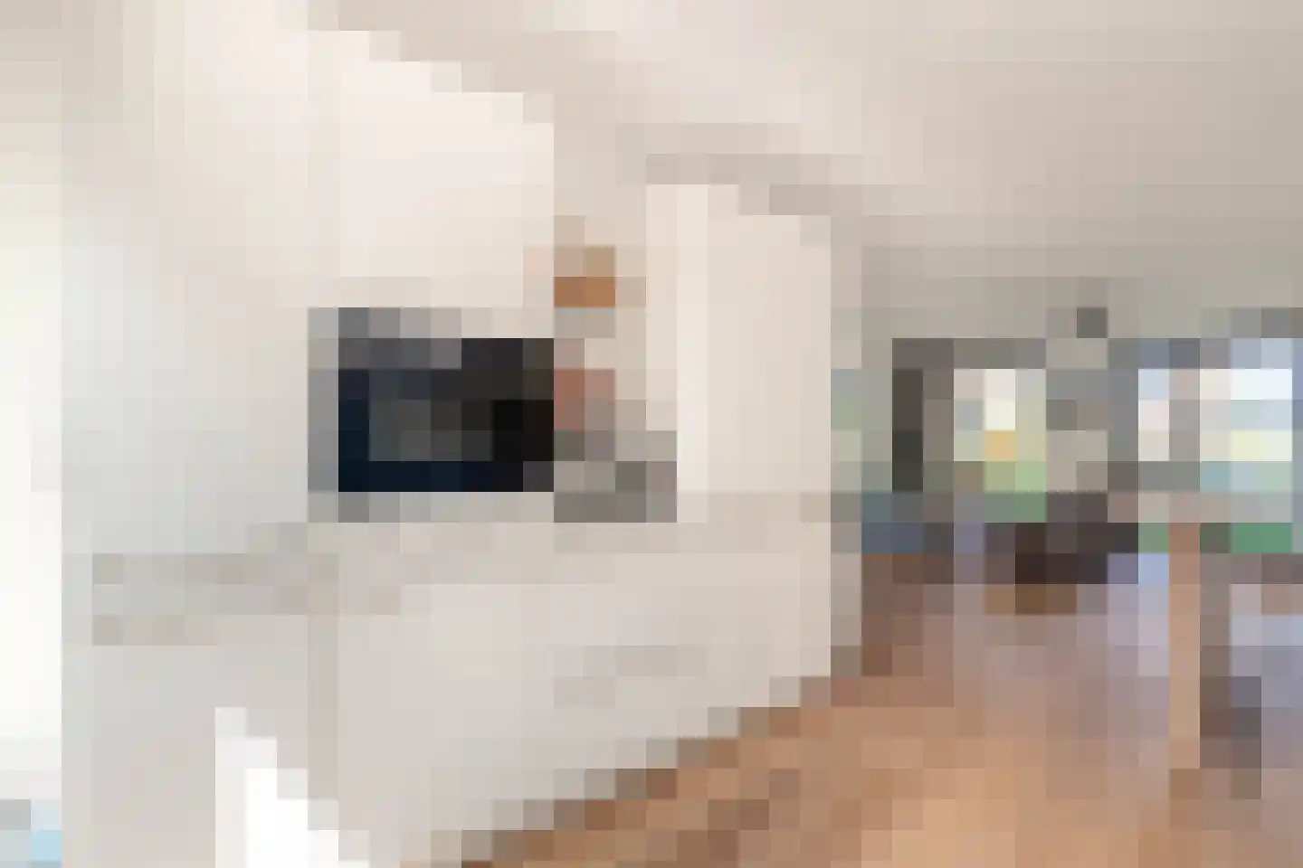 Willem Lodewijkhof 7 Alkmaar thumbnail 12