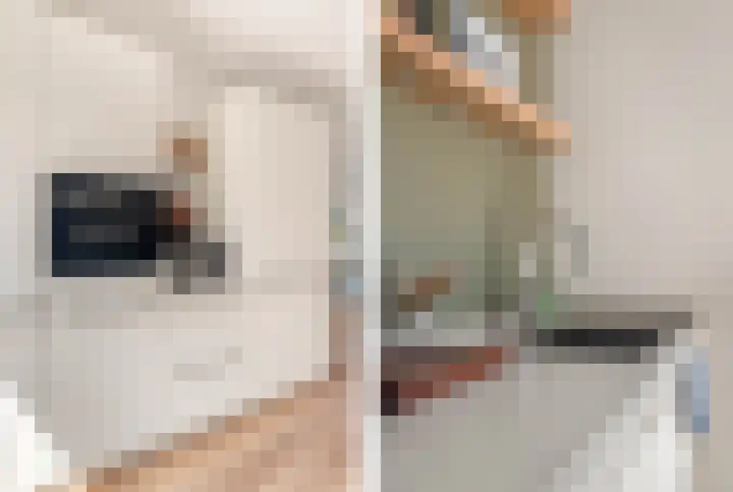 Willem Lodewijkhof 7 Alkmaar thumbnail 13