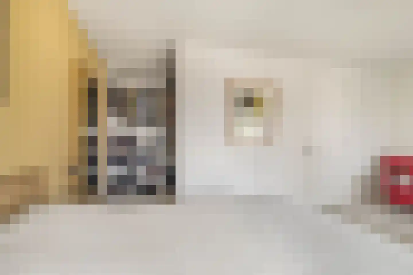 Willem Lodewijkhof 7 Alkmaar thumbnail 19