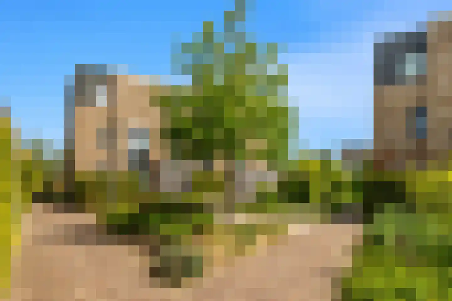 Willem Lodewijkhof 7 Alkmaar thumbnail 37