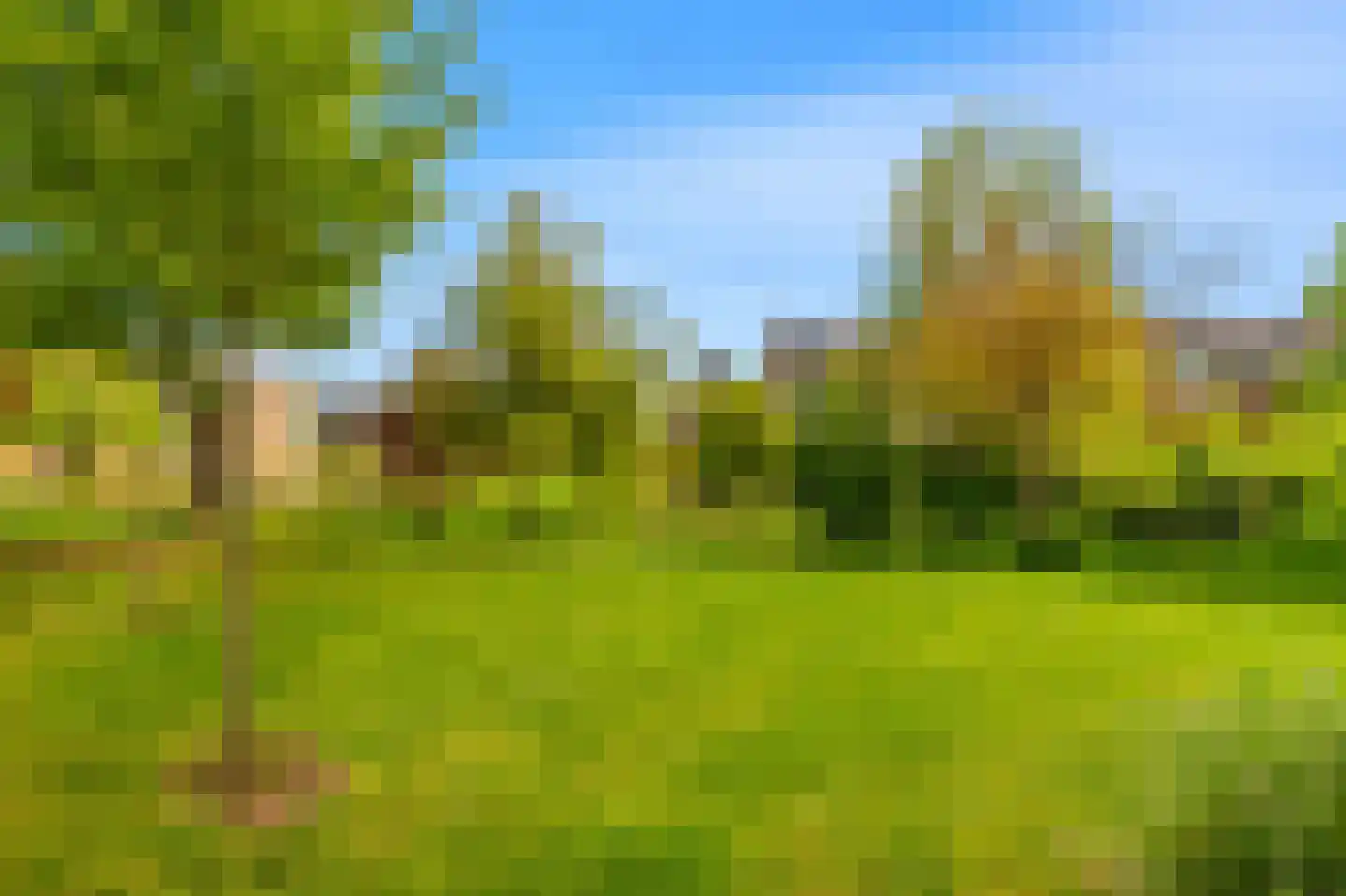 Willem Lodewijkhof 7 Alkmaar thumbnail 39