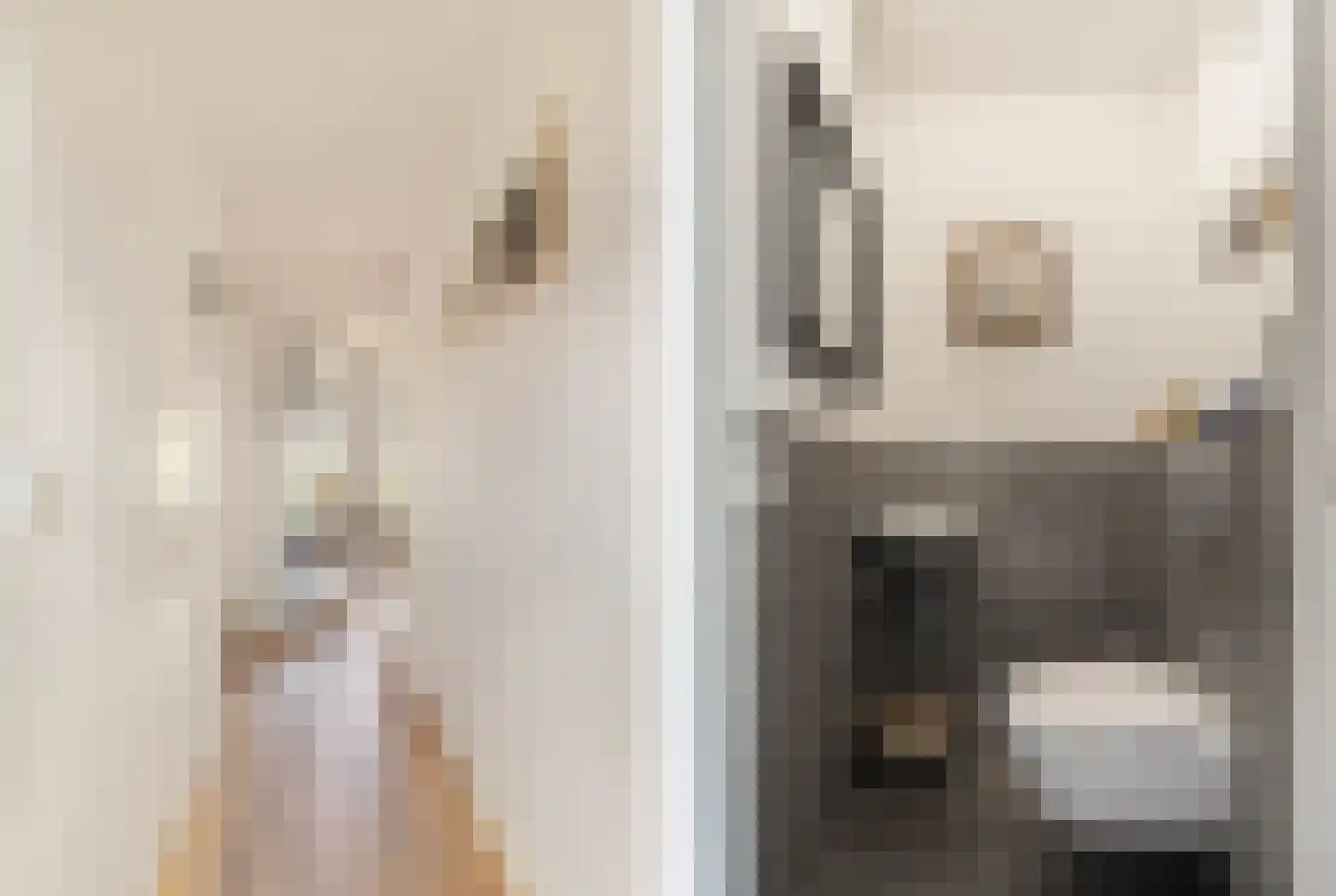 Willem Lodewijkhof 7 Alkmaar thumbnail 7