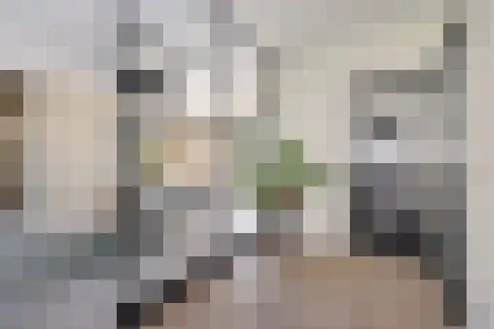 Willem Lodewijklaan 1 Heerenveen thumbnail 13