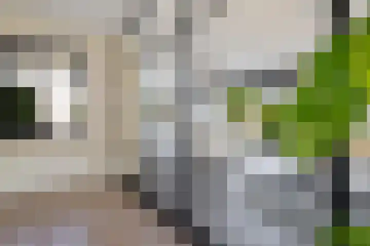 Willem Lodewijklaan 1 Heerenveen thumbnail 15