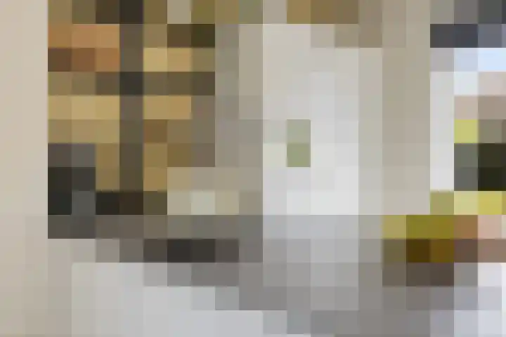 Willem Lodewijklaan 1 Heerenveen thumbnail 18