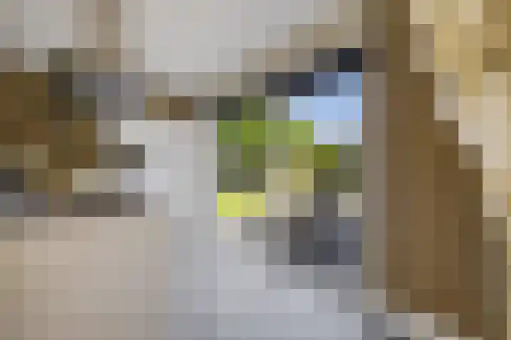 Willem Lodewijklaan 1 Heerenveen thumbnail 19