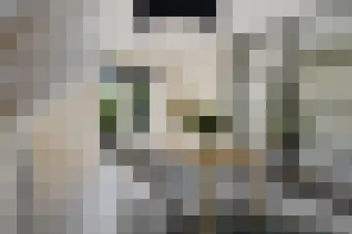 Willem Lodewijklaan 1 Heerenveen thumbnail 21