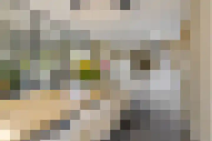 Willem Lodewijklaan 1 Heerenveen thumbnail 22