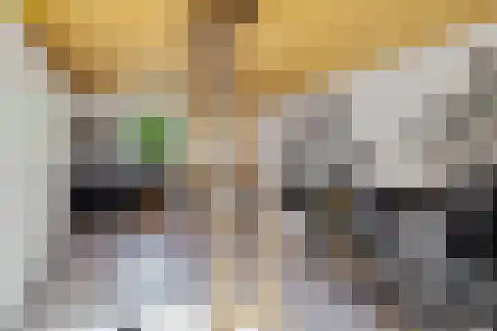 Willem Lodewijklaan 1 Heerenveen thumbnail 27