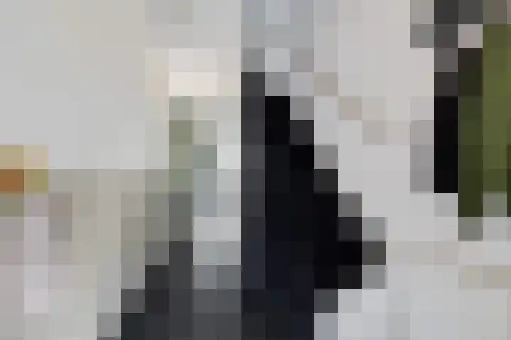 Willem Lodewijklaan 1 Heerenveen thumbnail 28