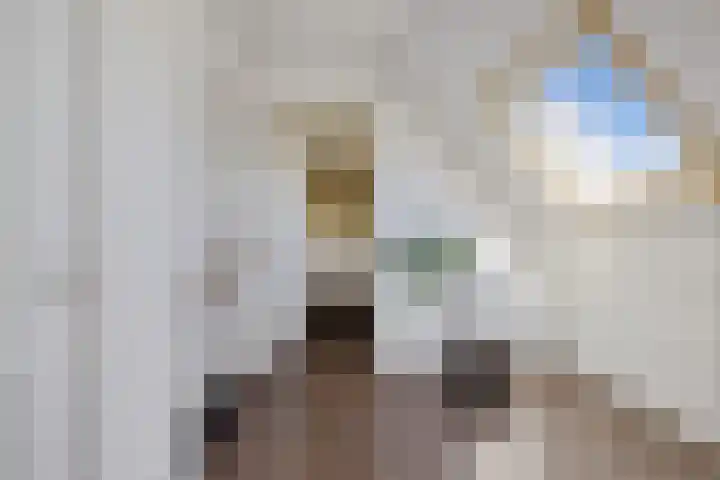 Willem Lodewijklaan 1 Heerenveen thumbnail 36