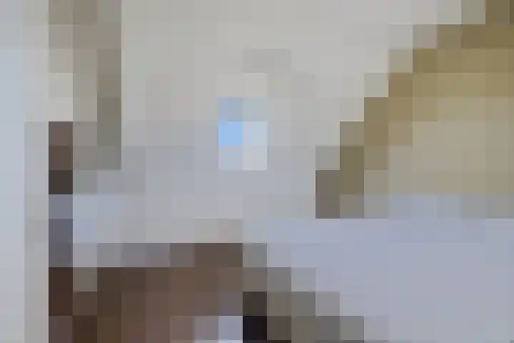 Willem Lodewijklaan 1 Heerenveen thumbnail 37
