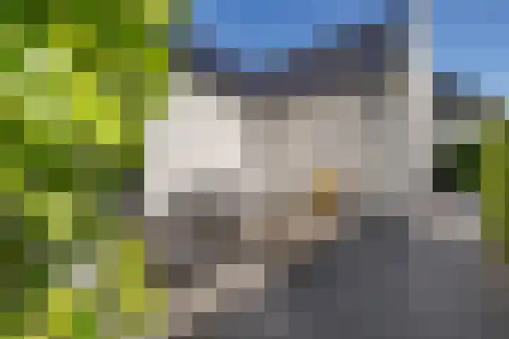 Willem Lodewijklaan 1 Heerenveen thumbnail 39