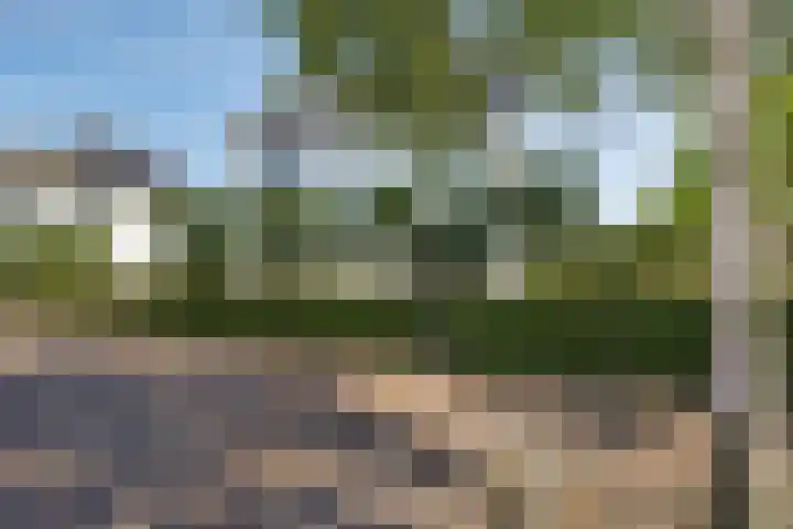 Willem Lodewijklaan 1 Heerenveen thumbnail 47