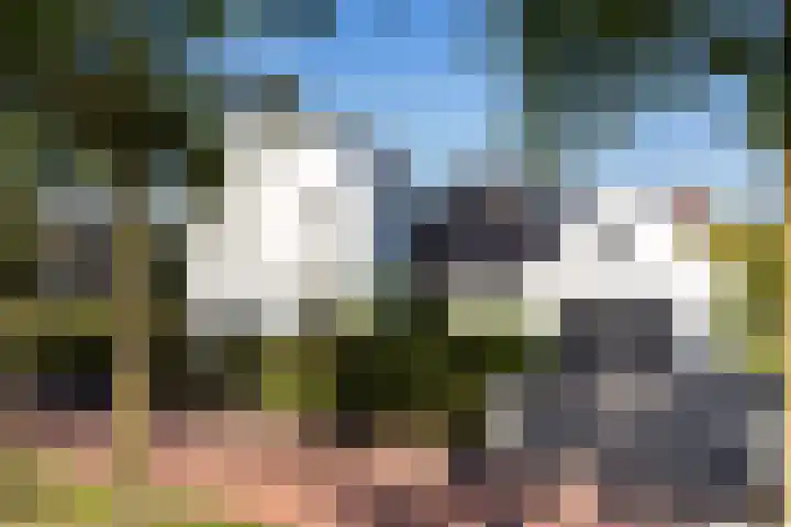 Willem Lodewijklaan 1 Heerenveen thumbnail 48