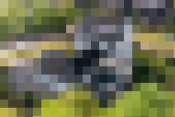 Willem Lodewijklaan 1 Heerenveen thumbnail 5