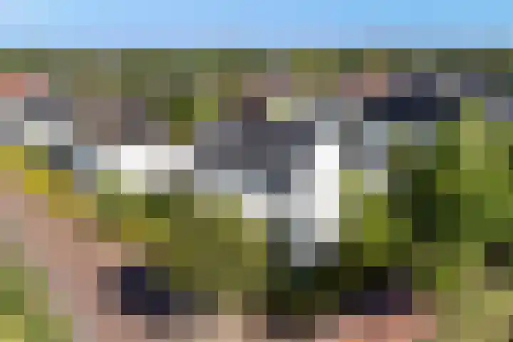 Willem Lodewijklaan 1 Heerenveen thumbnail 51