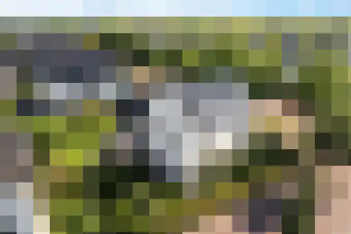 Willem Lodewijklaan 1 Heerenveen thumbnail 6