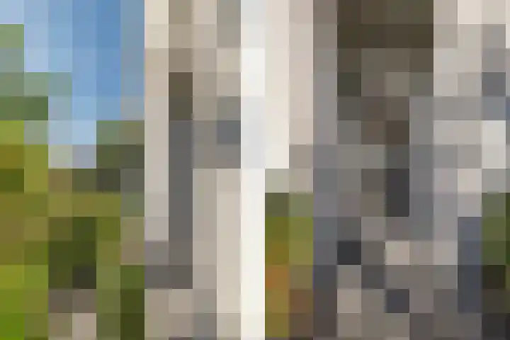 Willem Lodewijklaan 1 Heerenveen thumbnail 8
