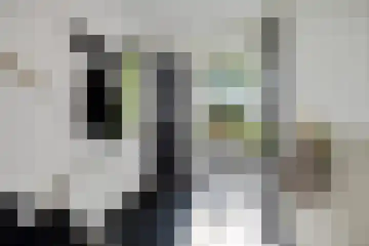 Willem Lodewijklaan 1 Heerenveen thumbnail 9