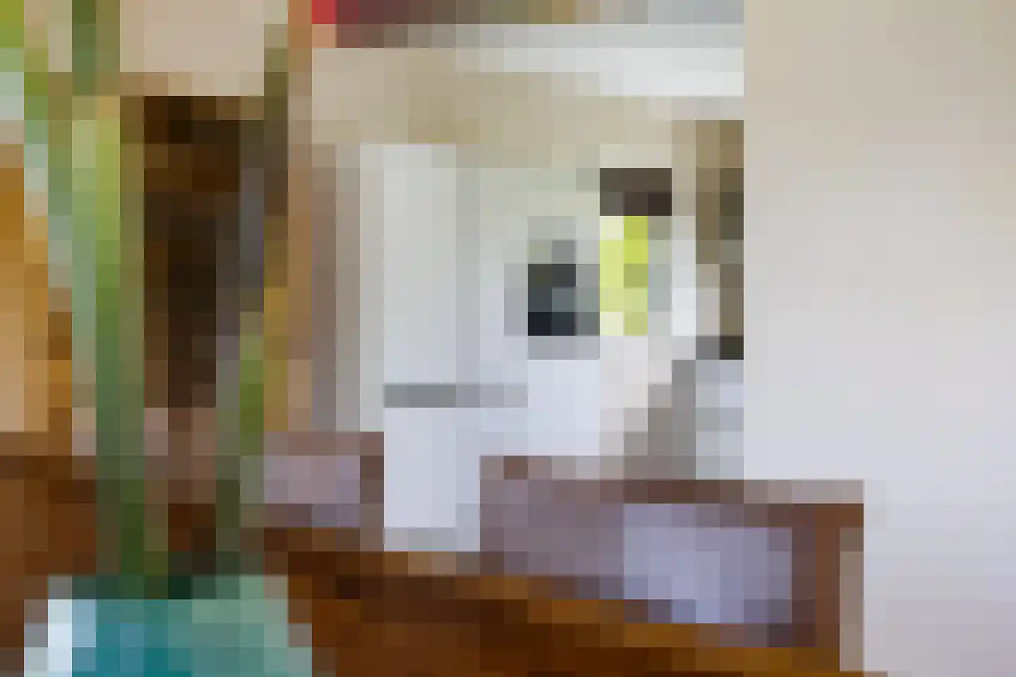 Willem Lodewijklaan 125 Heerenveen thumbnail 18
