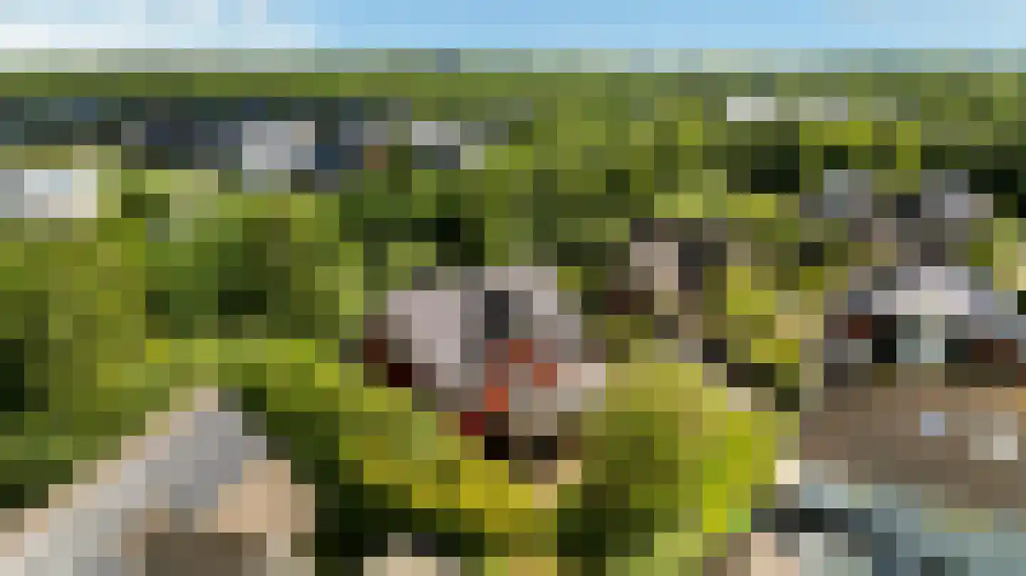 Willem Lodewijklaan 125 Heerenveen thumbnail 74