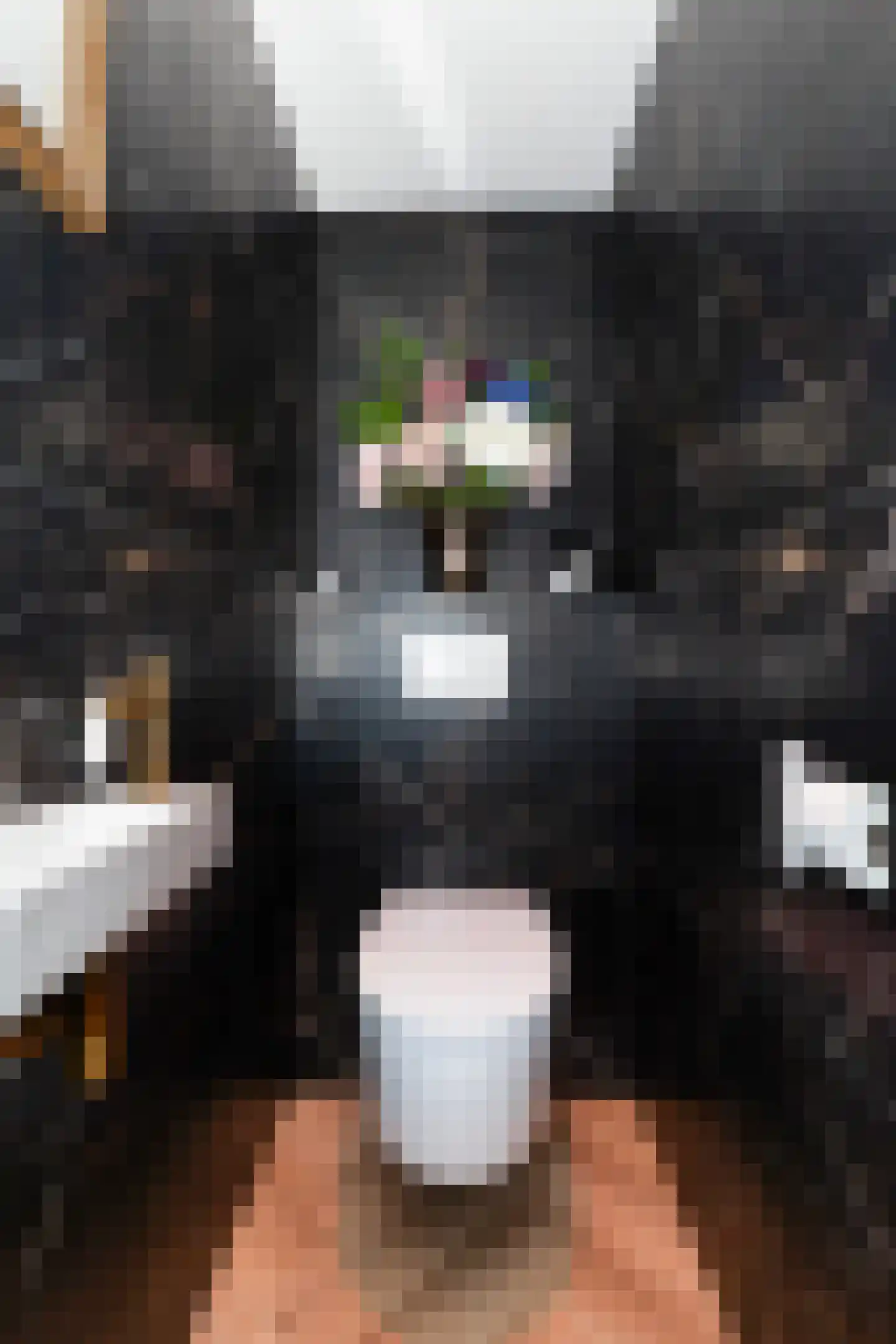 Willem Lodewijklaan 17 Vlaardingen thumbnail 14