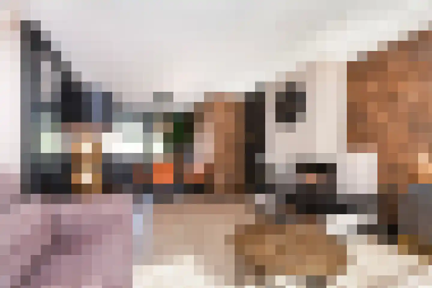 Willem Lodewijklaan 17 Vlaardingen thumbnail 20