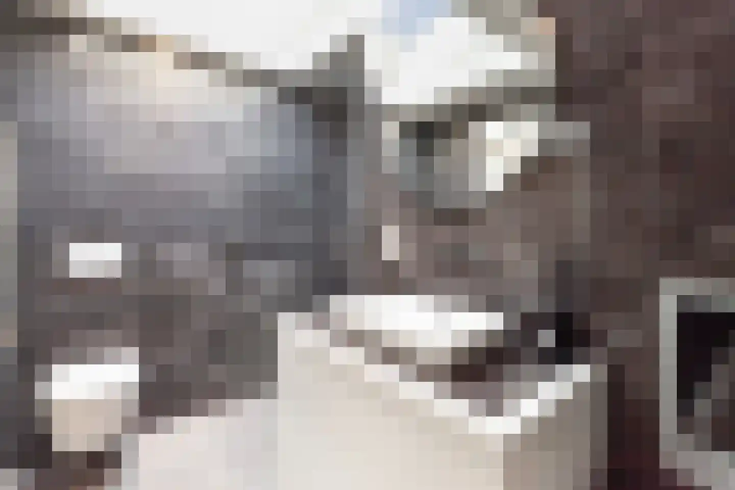Willem Lodewijklaan 17 Vlaardingen thumbnail 39