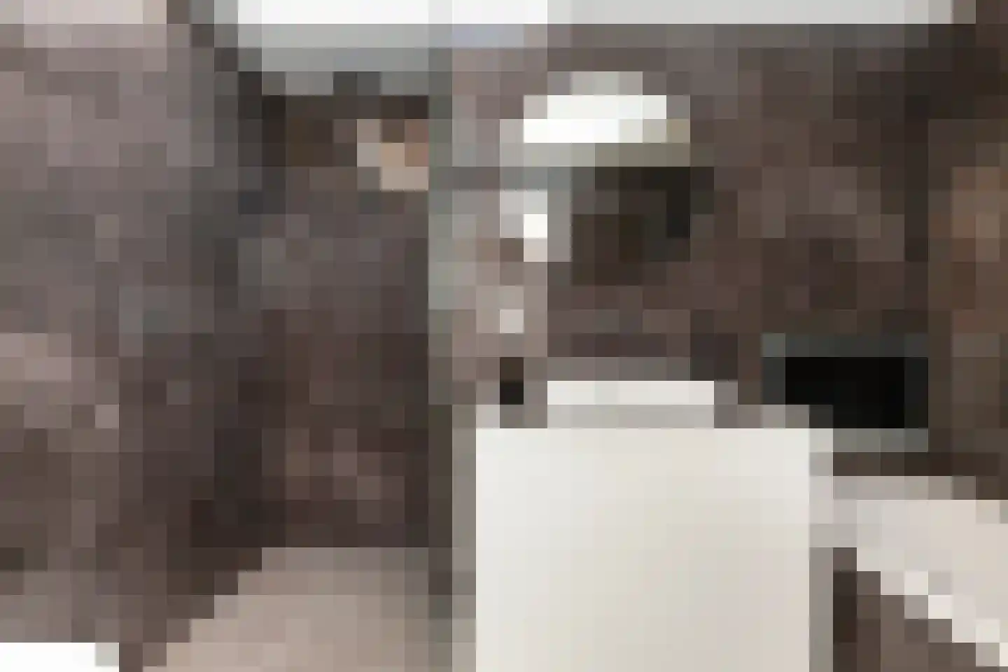Willem Lodewijklaan 17 Vlaardingen thumbnail 4