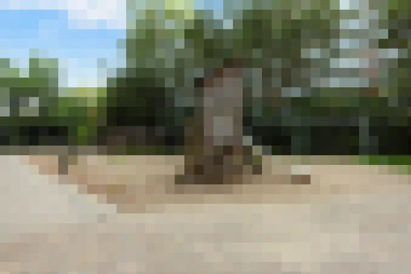 Willem Lodewijklaan 17 Vlaardingen thumbnail 55