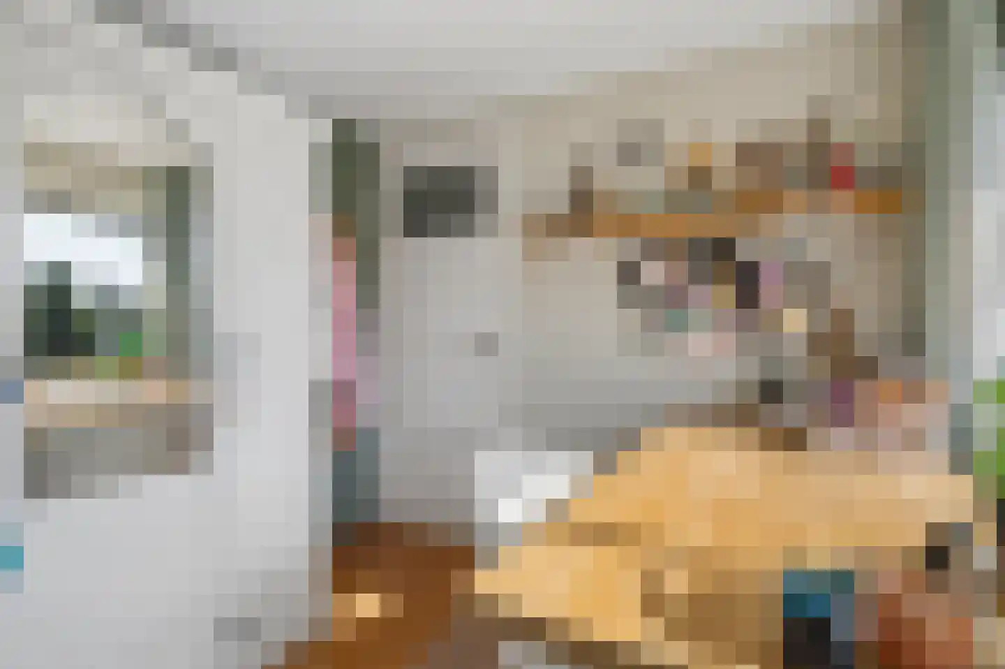 Willem Lodewijklaan 2 Ede thumbnail 24