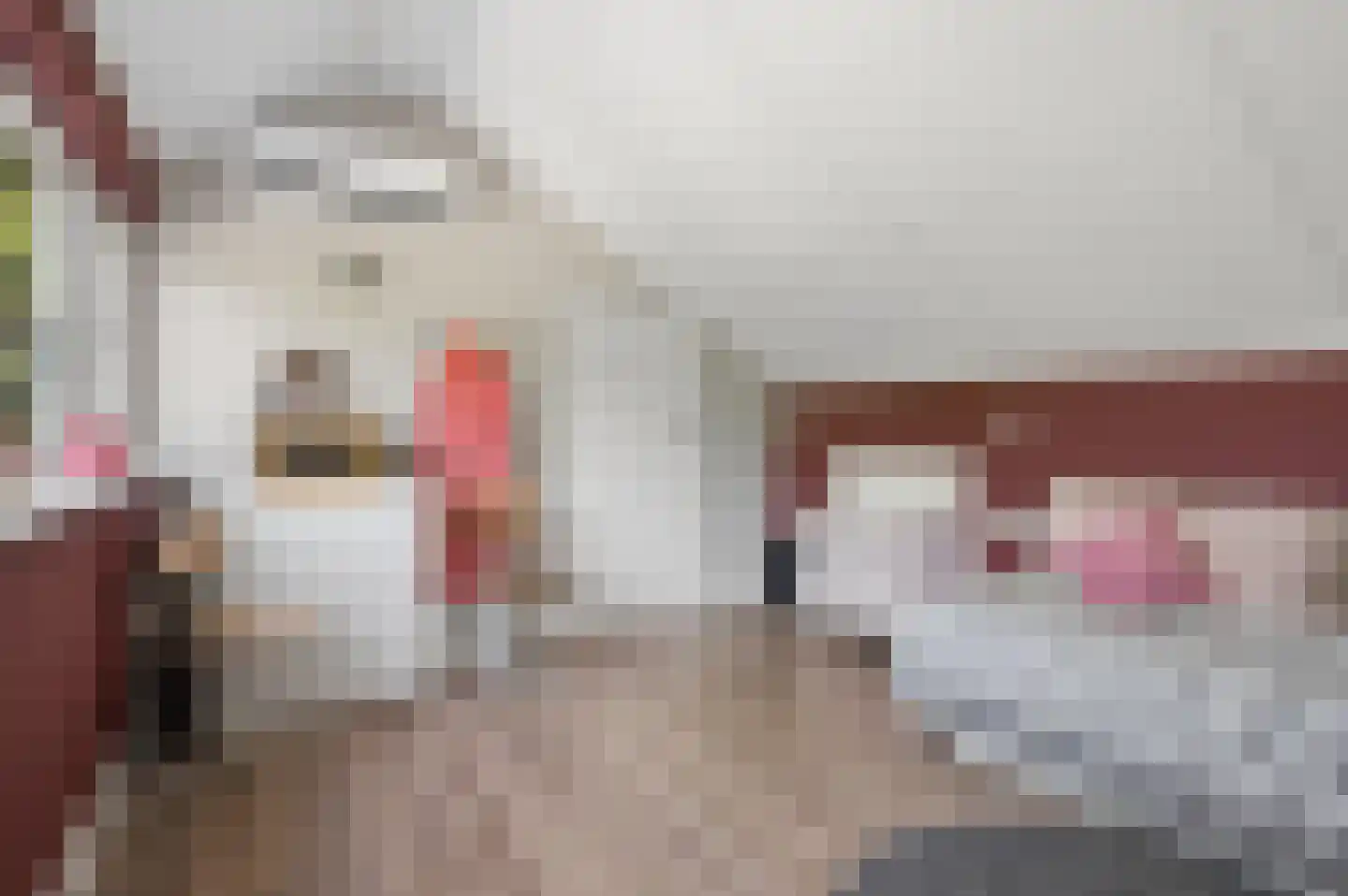 Willem Lodewijklaan 2 Ede thumbnail 30