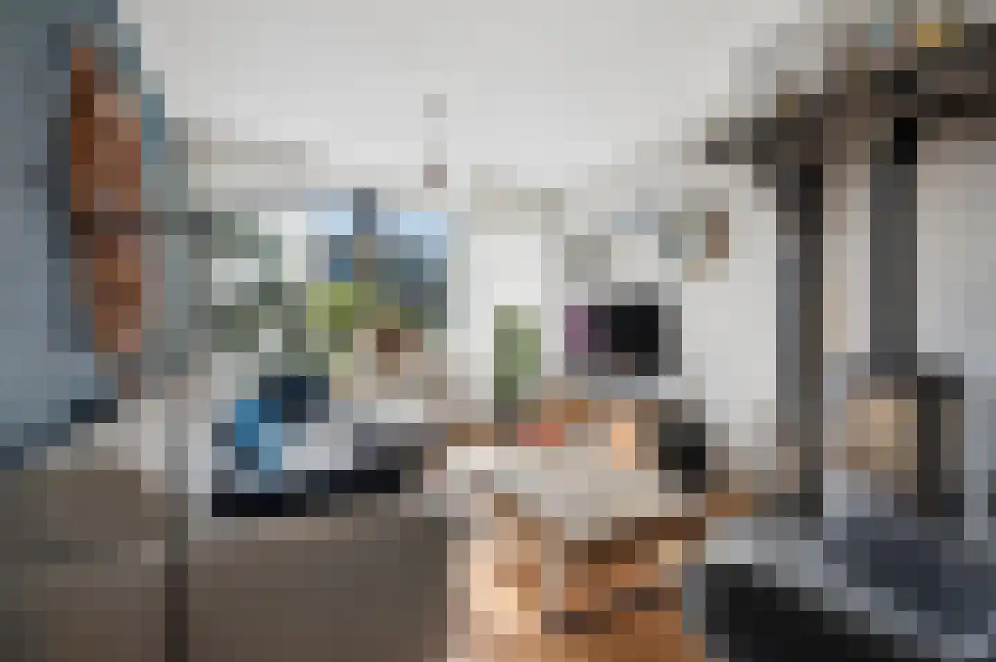 Willem Lodewijklaan 2 Ede thumbnail 6