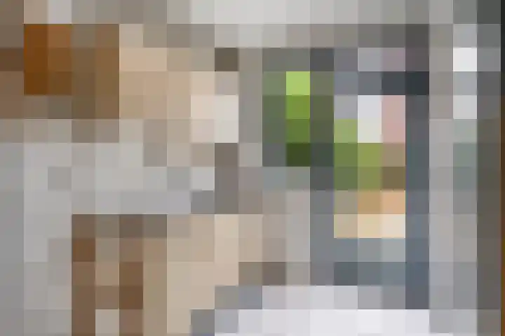 Willem Lodewijklaan 32 Ede thumbnail 10
