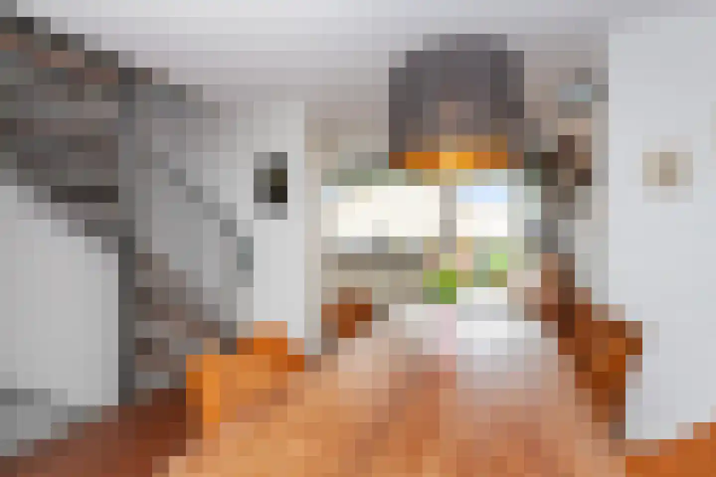 Willem Lodewijklaan 35 Vlaardingen thumbnail 15