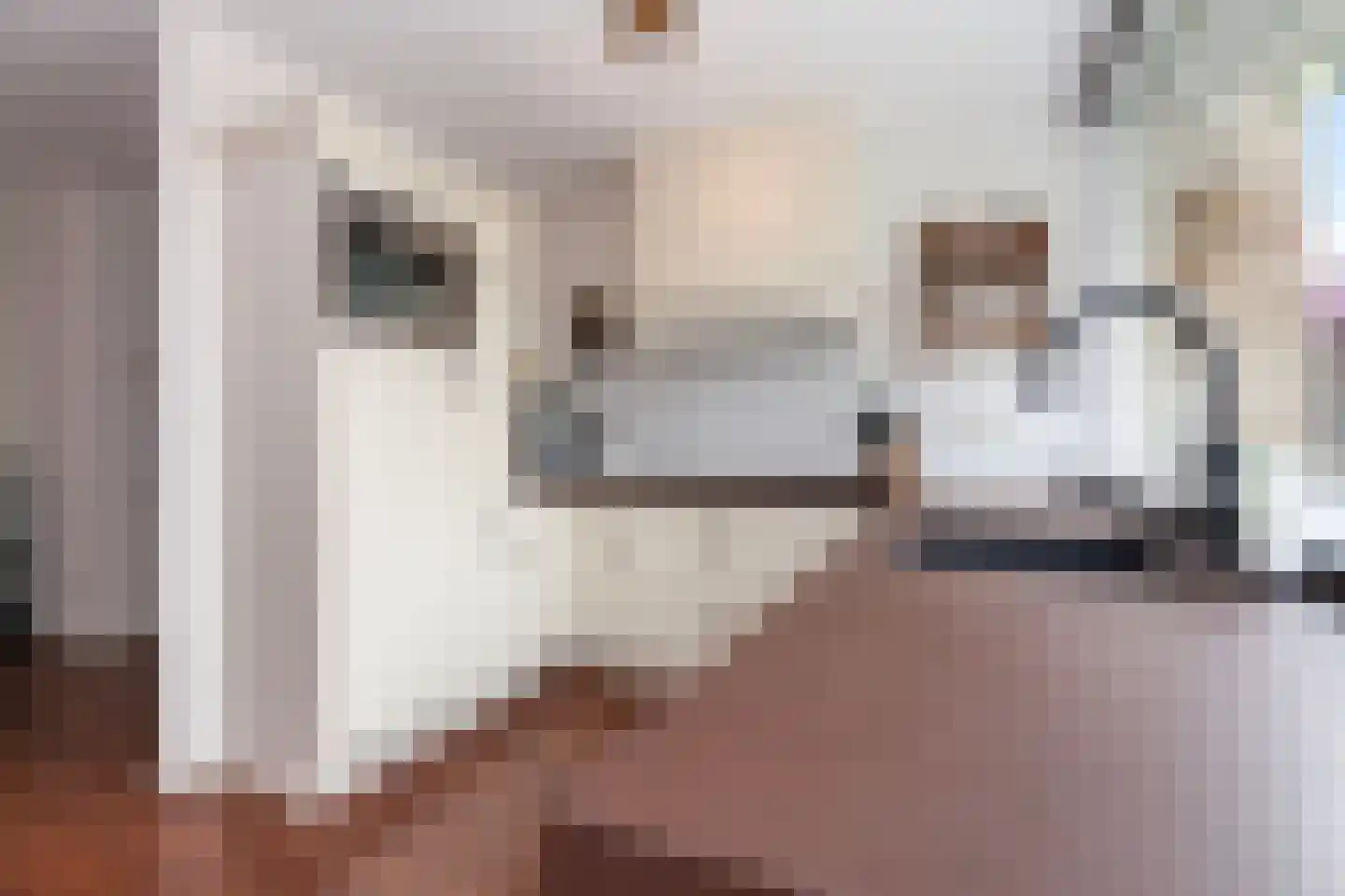 Willem Lodewijklaan 35 Vlaardingen thumbnail 22
