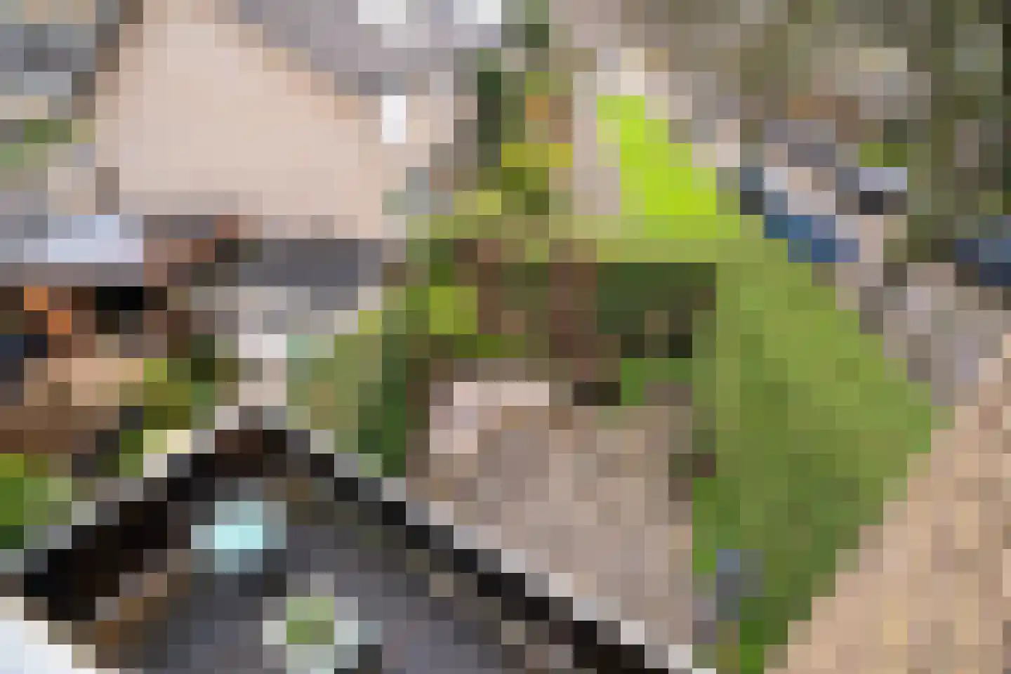 Willem Lodewijklaan 39 Vlaardingen thumbnail 4