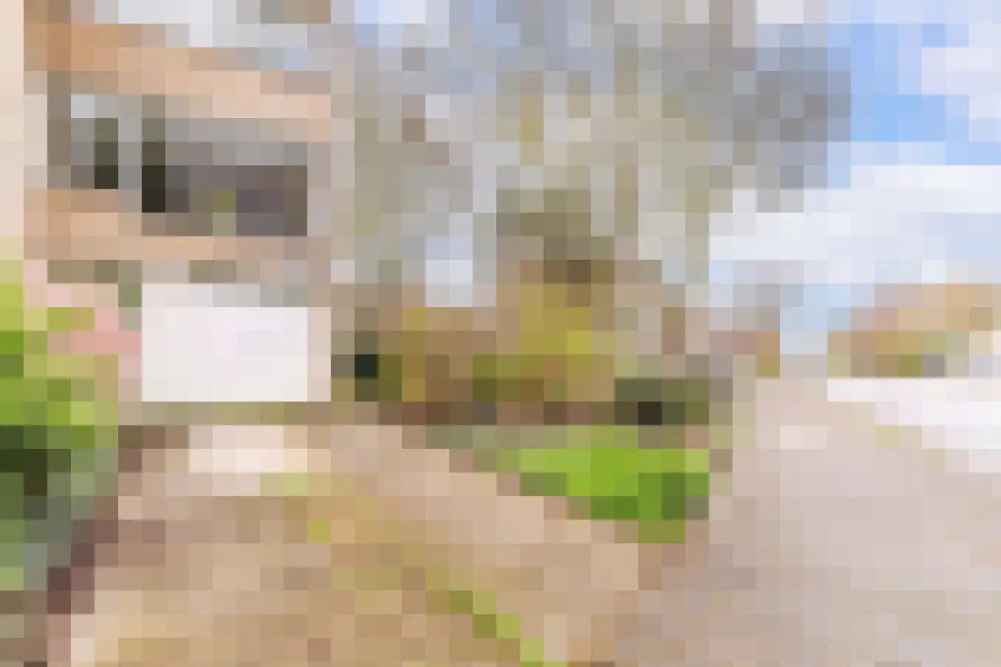 Willem Lodewijklaan 39 Vlaardingen thumbnail 5