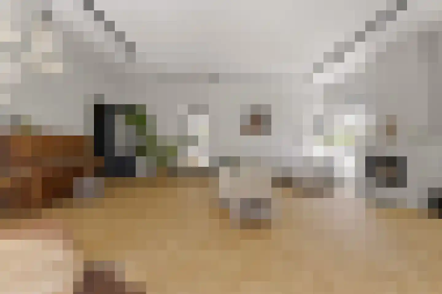 Willem Lodewijklaan 4 A Den Haag thumbnail 10
