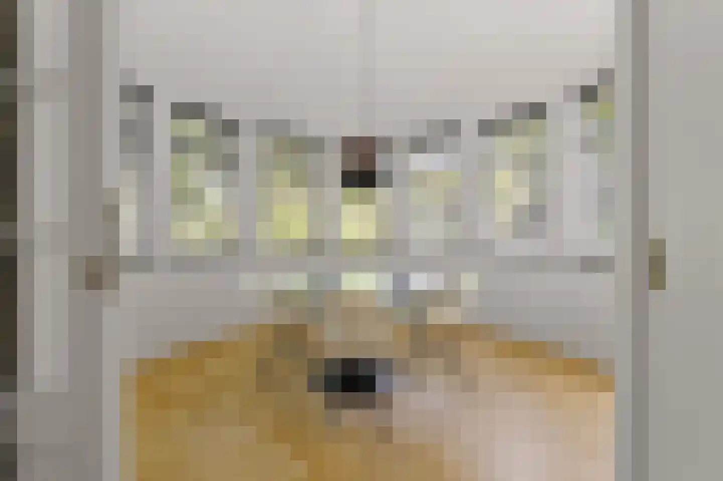 Willem Lodewijklaan 4 A Den Haag thumbnail 13