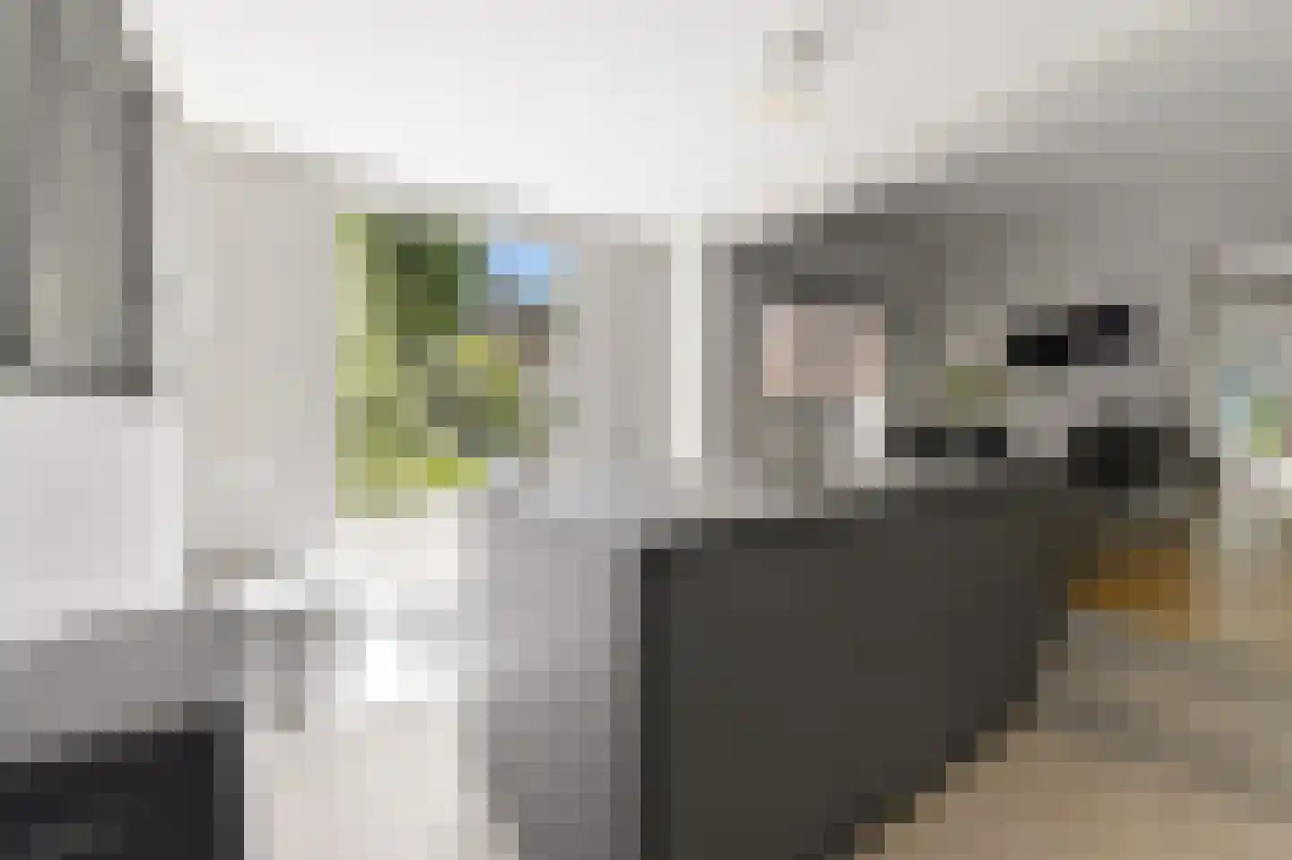 Willem Lodewijklaan 4 A Den Haag thumbnail 14