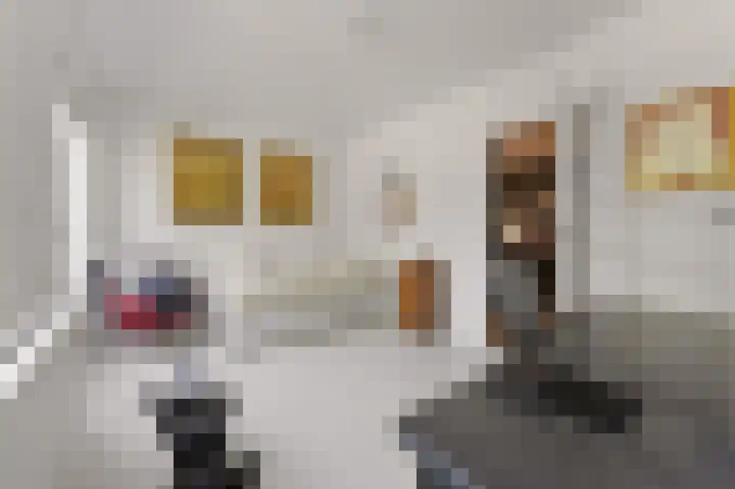 Willem Lodewijklaan 4 A Den Haag thumbnail 27