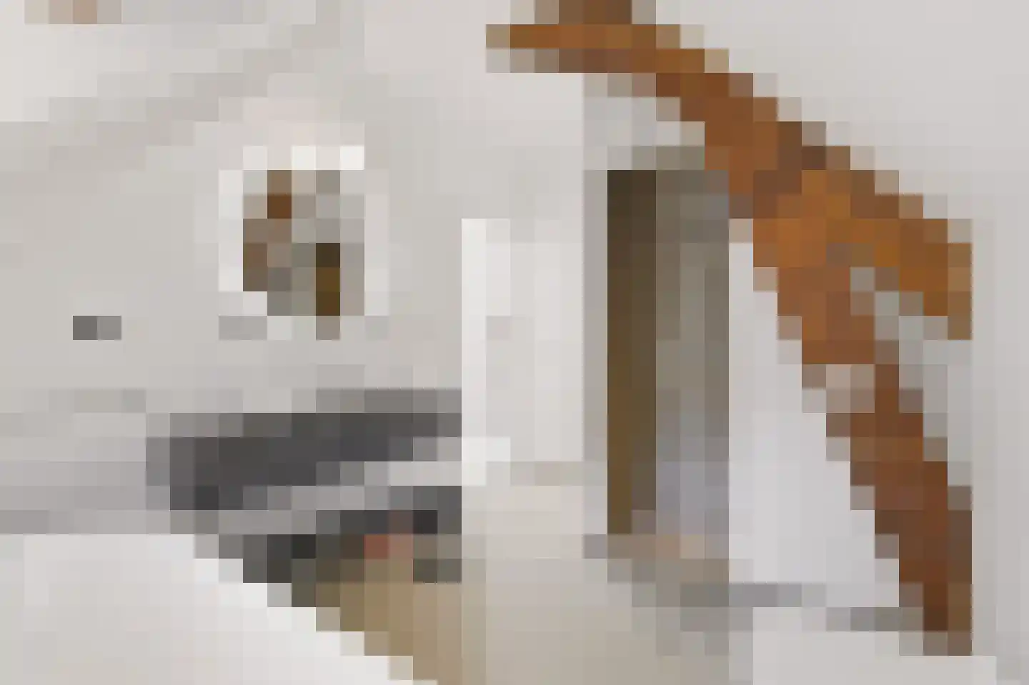 Willem Lodewijklaan 4 A Den Haag thumbnail 33