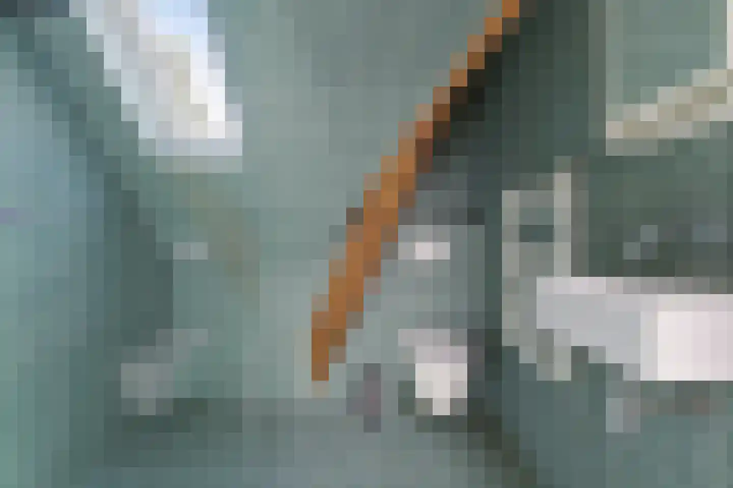 Willem Lodewijklaan 4 A Den Haag thumbnail 39