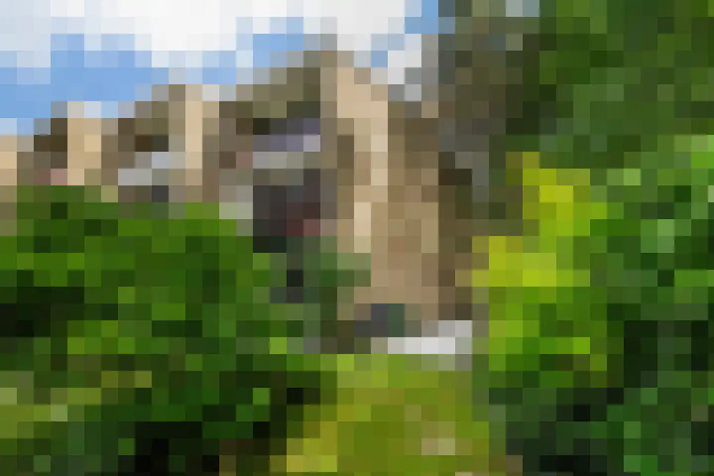 Willem Lodewijklaan 41 Vlaardingen thumbnail 23