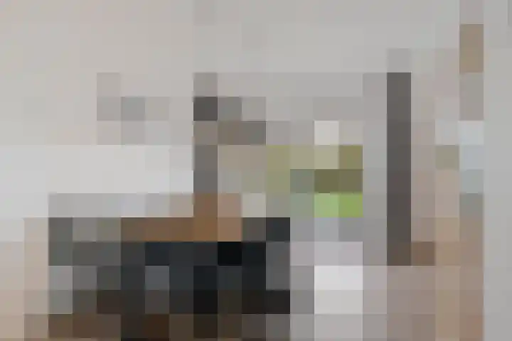 Willem Lodewijklaan 50 Heerenveen thumbnail 18